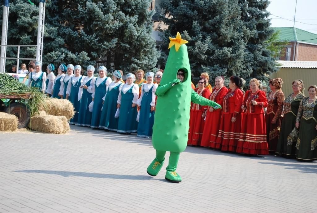 В станице Багаевской состоится традиционный донской праздник «День огурца»